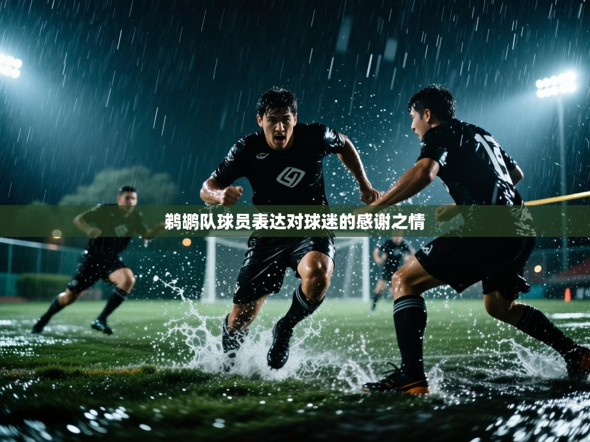 鹈鹕队球员表达对球迷的感谢之情 第1张